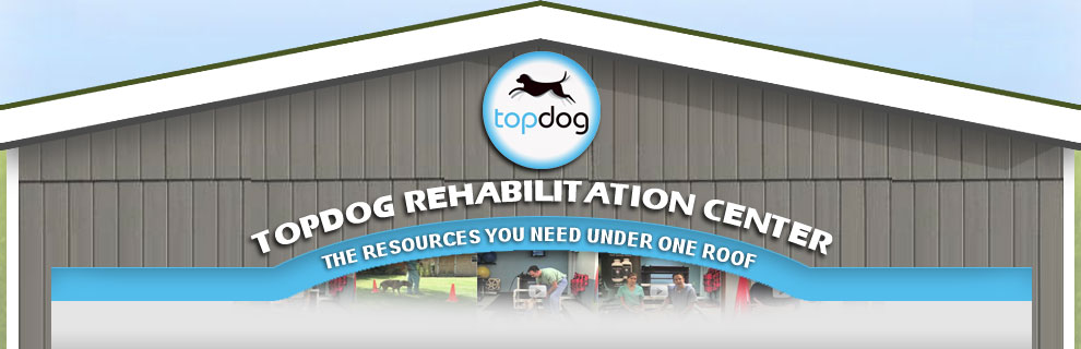 Dextropropoxyphene Detox Treatment CentersJefferson GA